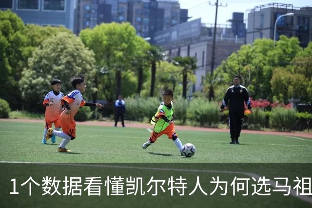 1个数据看懂凯尔特人为何选马祖拉弃布朗
